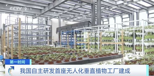 世界初！中國獨自開発の自動化垂直植物工場、生物技術普及サービスを牽引